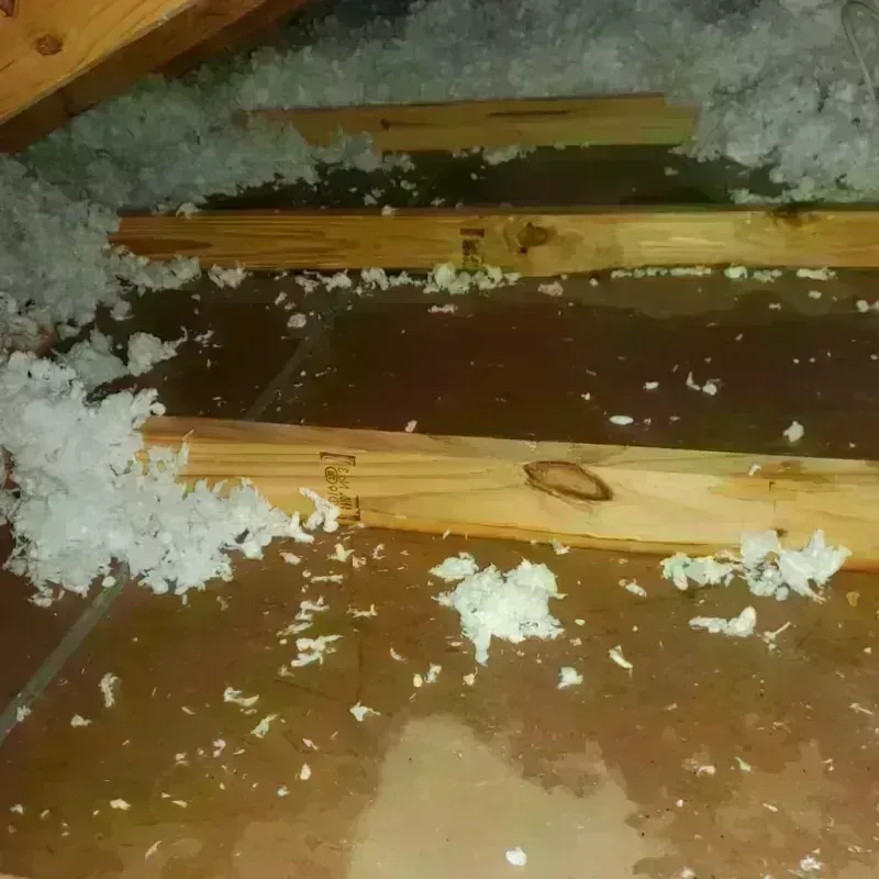 Attic Water Damage in Sparta, WI