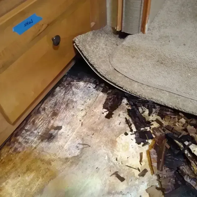 Wood Floor Water Damage in Sparta, WI